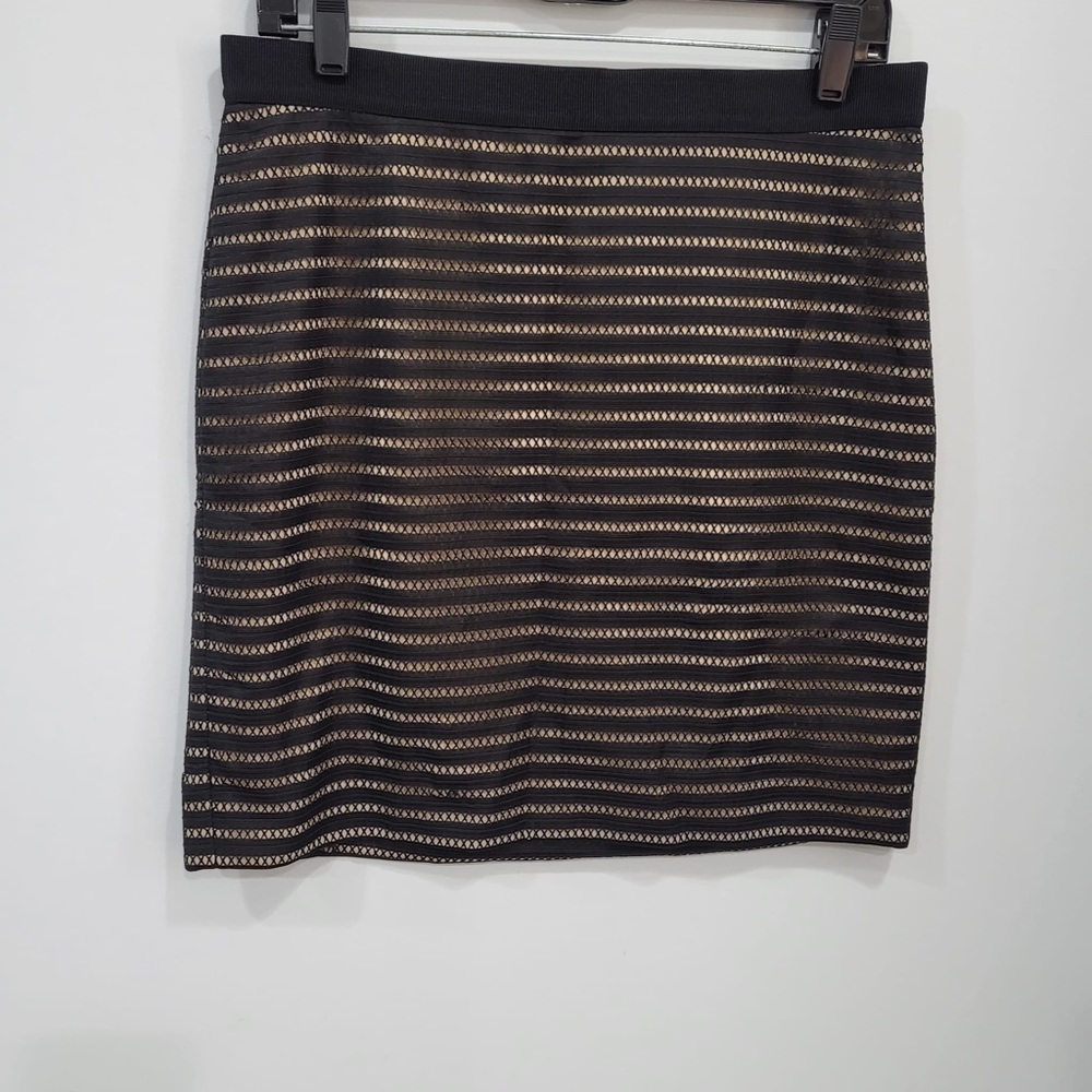 Ann Taylor Skirt